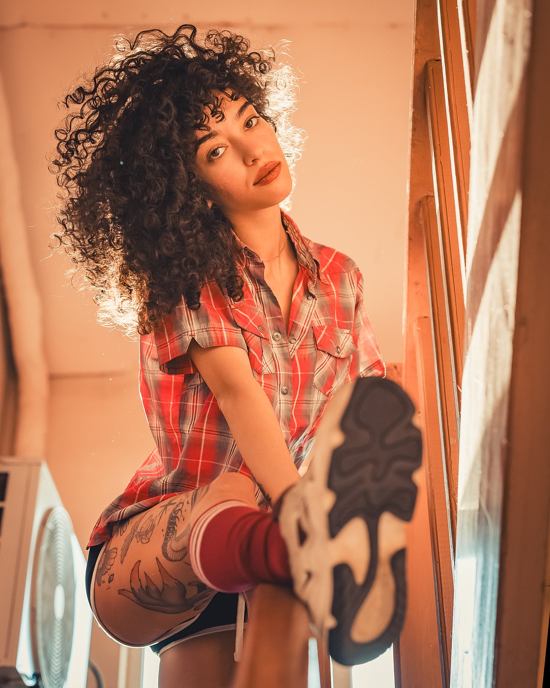 Rosi